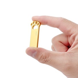 USB Stick 32 GB Memory Stick 32 GB USB 2.0 Flash Drive Waterproof Pen Drive 32 GB Cute Cartoon Cat Paw Memory Stick for PC, Laptop, Computer, Tablet, Car Devices External (Gold x 5 Pack)