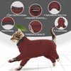 Cat Recovery Suit with Legs, Cat Onesie Cat Jacket Cat