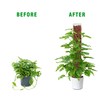 Bonviee 4-Pack 15-Inch Plastic Moss Poles for Monstera & Climbing