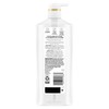Pantene Pantene Sheer Volume 72 HR Fullness Shampoo, 530 mL