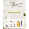 DAMINY 52 inch Nickel Ceiling Fans with Lights,5 Blades,6CCT, Low