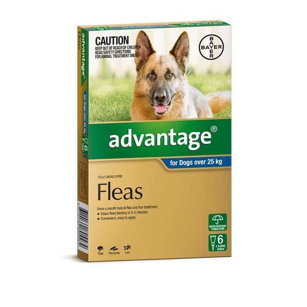 Advantage For Extra Large Dogs (Over 25kg) - 6 Pack