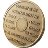 RecoveryChip 1 Year AA Medallion Large 1.5 Inch Heavy Premium