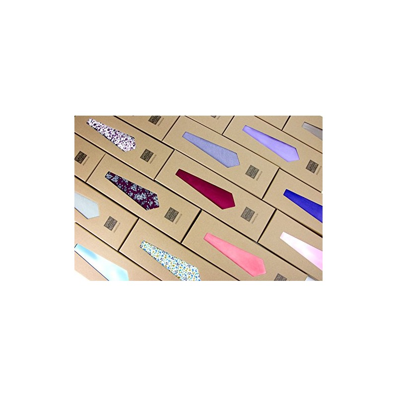 Spring Notion Men's Regular Solid Color Satin Microfiber Tie and