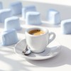 12 Water Filters for Breville Espresso Machines - Replacement Charcoal