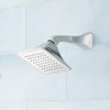 Signature Hardware SHSH2060G Vilamonte 1.8 GPM Single Function Shower Head