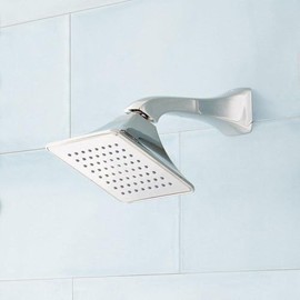Signature Hardware SHSH2060G Vilamonte 1.8 GPM Single Function Shower Head - Polished Nickel