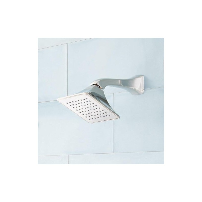 Signature Hardware SHSH2060G Vilamonte 1.8 GPM Single Function Shower Head