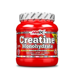 AMIX Creatine Monohydrate - 100% Micronised Creatine Powder, Increases Physical Performance, Increases Muscle Building and Strength in Athletes, 300 g