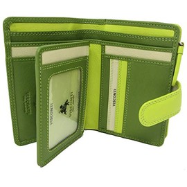 Ladies Gorgeous Visconti Rainbow Leather Multi Compartment Purse Wallet RFID Secure RB51 (Lime Multi)