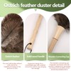 Ostrich Feather Duster, 16-Inch, 2-Pack, Reusable Design for Effortless Cleaning