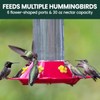 Perky-Pet 209B-1SR Glass Hummingbird Feeders for Outdoors Hanging - 30