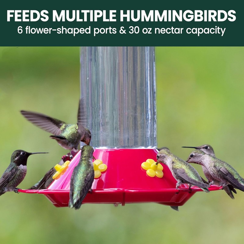 Perky-Pet 209B-1SR Glass Hummingbird Feeders for Outdoors Hanging - 30