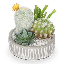Artificial Cactus Plants Indoor, 5.5" Assorted Small Faux Succulent in Pots Fake Potted Desk Plant with Concrete Bowl Mini Succulents Artificial Cactus Decor for Home Office Bathroom Table Shelf