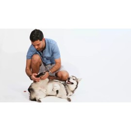 Unbranded Canine Dog Hock Brace Rear Leg Joint Wrap Helps Loss of Stability from Arthritis - XL