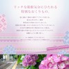 Lulun Hakone Lulun Face Mask, Moisturizing Hydrangea Scent, 1 Piece