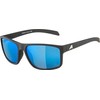 ALPINA Unisex Nacan I P Sunglasses, black matte, Unit size