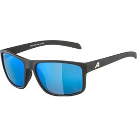 ALPINA Unisex Nacan I P Sunglasses, black matte, Unit size