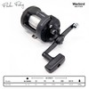 FLADEN Fishing - Multiplier Sea Reel WARBIRD GCT20 2000 -