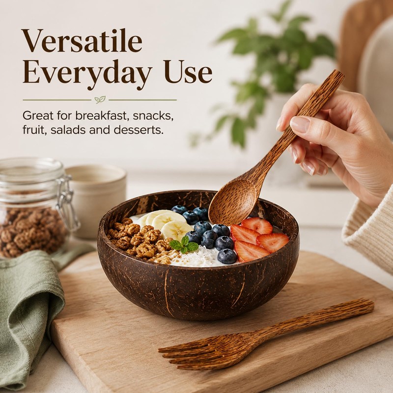 HANXIANG 3PCS Coconut Bowl and Wooden Spoon Set