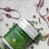 Effective High Chlorophyll Algae Nature Organic Chlorella Tablets – Ideal for Geschmacksempfindliche