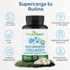 FORESTLEAF colágeno multi avanzado tipo I II III con ácido