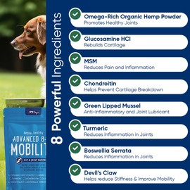 iHeartDogs Hip & Joint Supplement for Dogs - Advanced 8-in-1 Dog Joint Supplement Chews with Glucosamine, Chondroitin, Turmeric, Devil's Claw, Green Lipped Mussel, Hemp, Yucca, Boswellia & MSM - 90 Ct