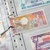 120 Pockets Currency Pages - 20 Sheets Double-Sided Currency Sleeves