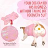 Eyein Dog Surgery Recovery Suit, Female Male Dog Surgical Bodysuit