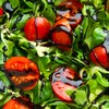 Sanniti Italian Aged Balsamic Vinegar of Modena | IGP Certified