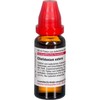 DHU Chelidonium External Tincture 20 ml Solution