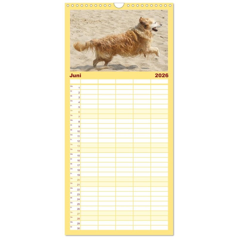 Familienplaner 2026 - Golden Retriever Power mit 5 Spalten (Wandkalender,