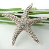 Navachi 18k Gold Plated Multi-Color Crystal Big Sea Star Starfish