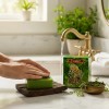 Jabón Aroma Ruda Protección Espiritual Y Energía Positiva