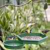 GEEZY Bird Feeder and Bird Bath, 2 in 1 Hanging