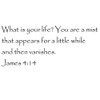 Tapestry Of Truth - James 4:14 - TOT3512 - Wall