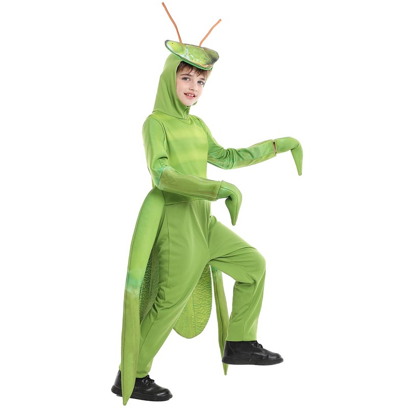 Seasons Child Praying Mantis Costume (M(8-10))