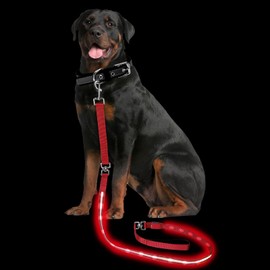 PetIsay Light up Dog Leash for Night Walking - USB C Rechargeable - Waterproof - Dog Leash with Flashlight - LED Leash for Dogs - 6Ft, Red