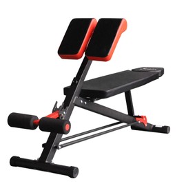 Soozier Upgraded Multi-Functional Hyper Extension Bench Dumbbell Bench Adjustable Roman Chair Ab Sit up Decline Flat
