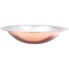 Endo Shoji QUD03030 TKG Udonsuki Pot, 11.8 inches (30 cm),