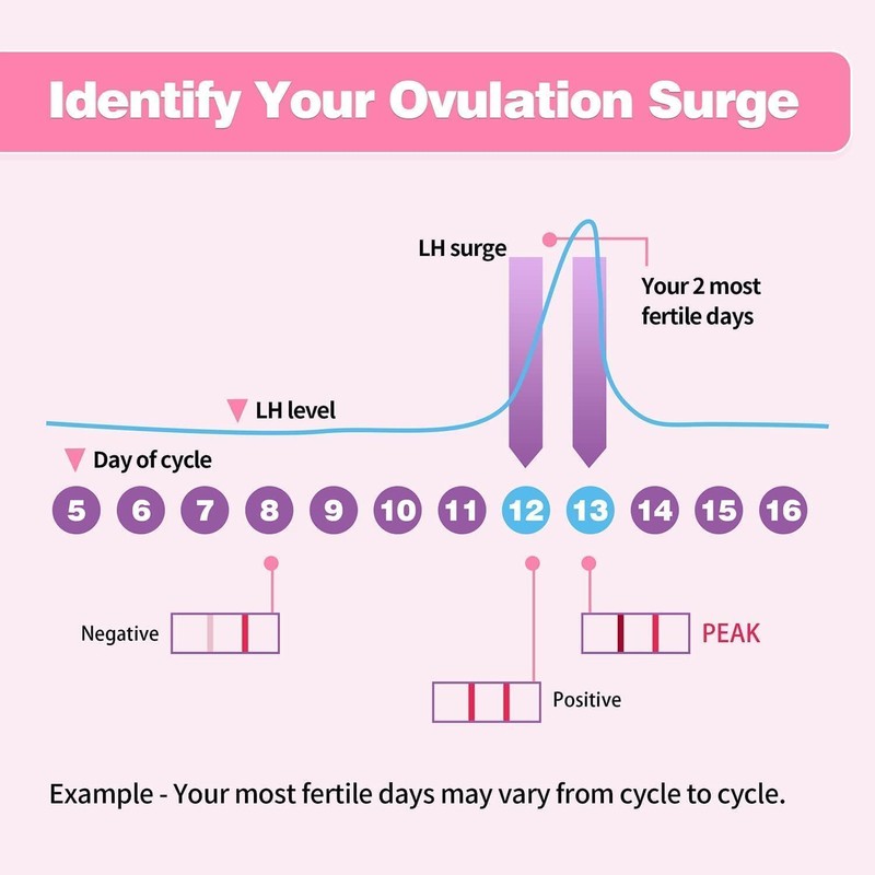 HEAL-CHECK 50 Count Ovulation Test Strips with Cups, Bulk Ovulation