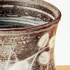 Kiyomizu Ware Seisen Kiln Tea Cup Set Hagigasane USE542