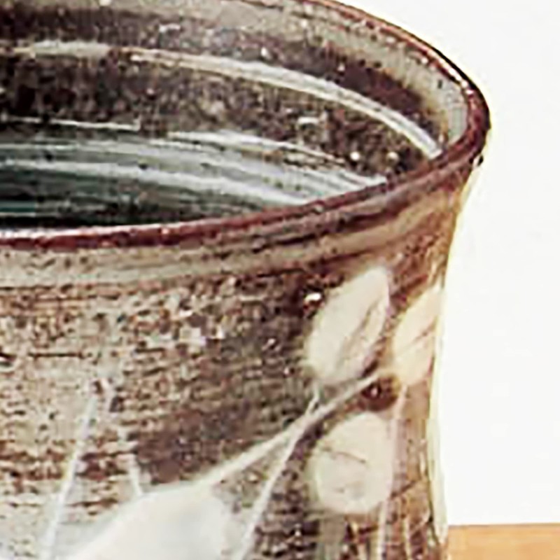 Kiyomizu Ware Seisen Kiln Tea Cup Set Hagigasane USE542