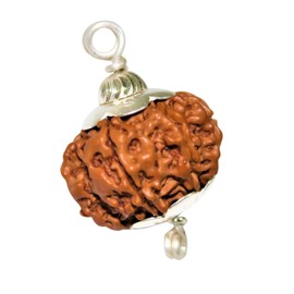 NAISHA 8 Mukhi Rudraksha Bead Necklace, 100% Certified & Original Eight Faced Rudraksha Seed for Pooja/Prayer/Meditation