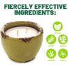 Murphy's Naturals Ceramic Garden GREEN Candle 30 Hour MOSQUITO REPELLENT