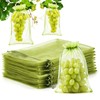 100Pcs Fruit Protection Bags 6''×9'' Fruit Bags for Fruit Trees