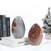 Rockcloud Irregular Ocean Jasper Palm Stones for Positive Energy, Self-Standing
