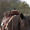 Aylev Horse Saddle Bag, Brown Pommel Bag, Horse Tack, Horse