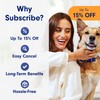 PetLab Co. Probiotic Support Chews – Daily Probiotic Supplements For