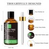 MAYJAM Essential Oil, Tea Tree, 1.01 fl oz (30 ml),